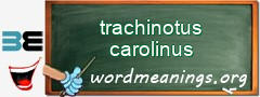 WordMeaning blackboard for trachinotus carolinus